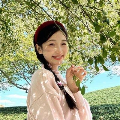 搜索者